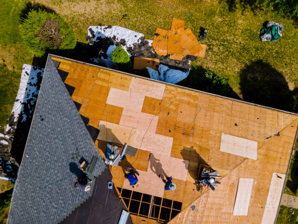 Best Roof Gutter Cleaning  in Town N Country, FL